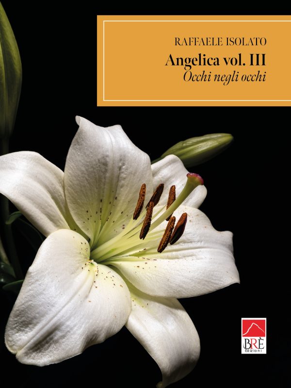 Angelica vol. 3 Occhi negli occhi