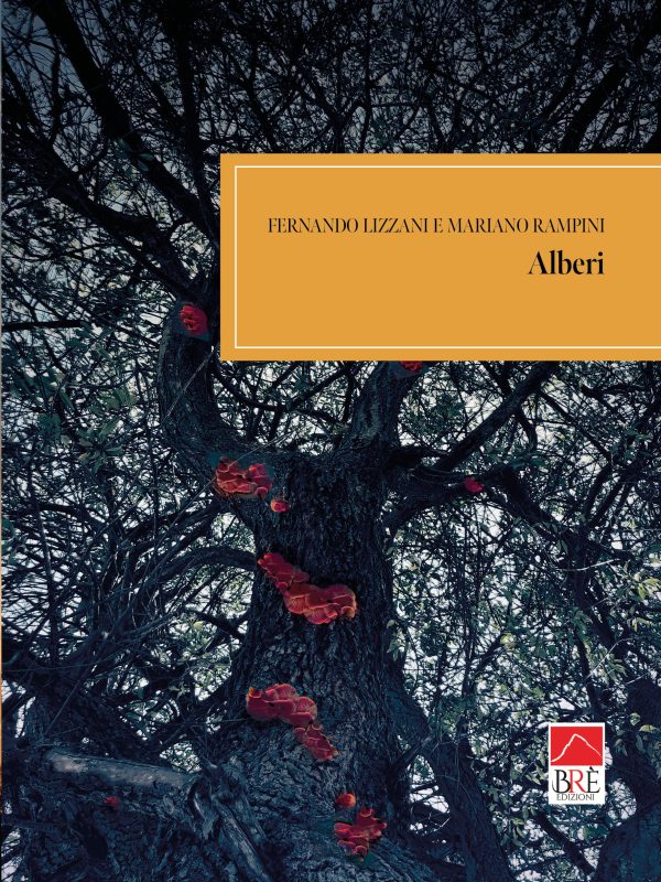 Alberi