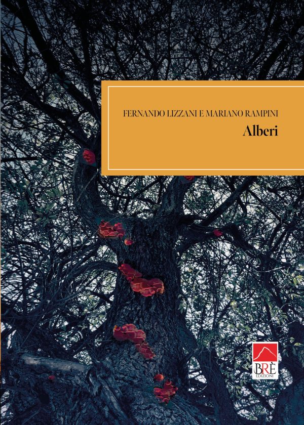 Alberi