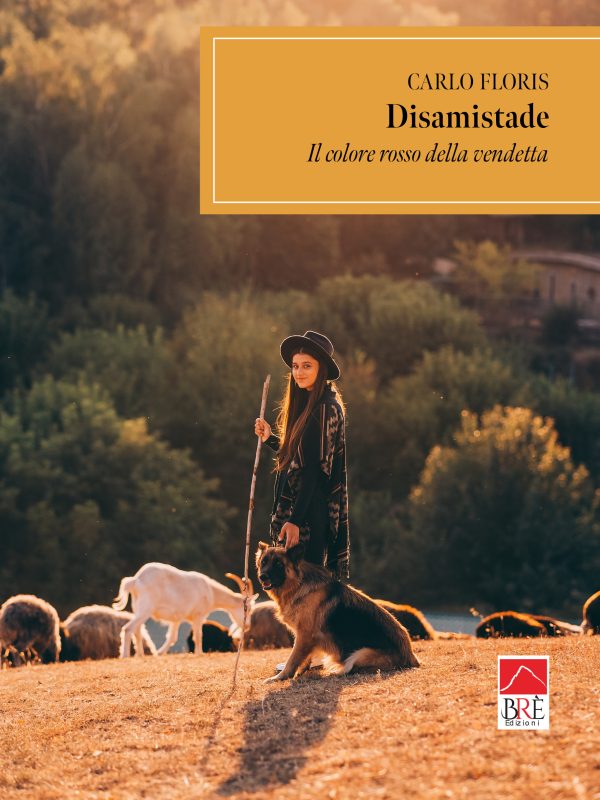 DISAMISTADE