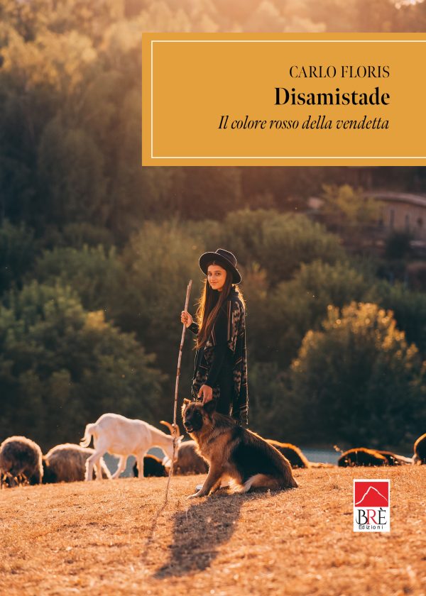 DISAMISTADE