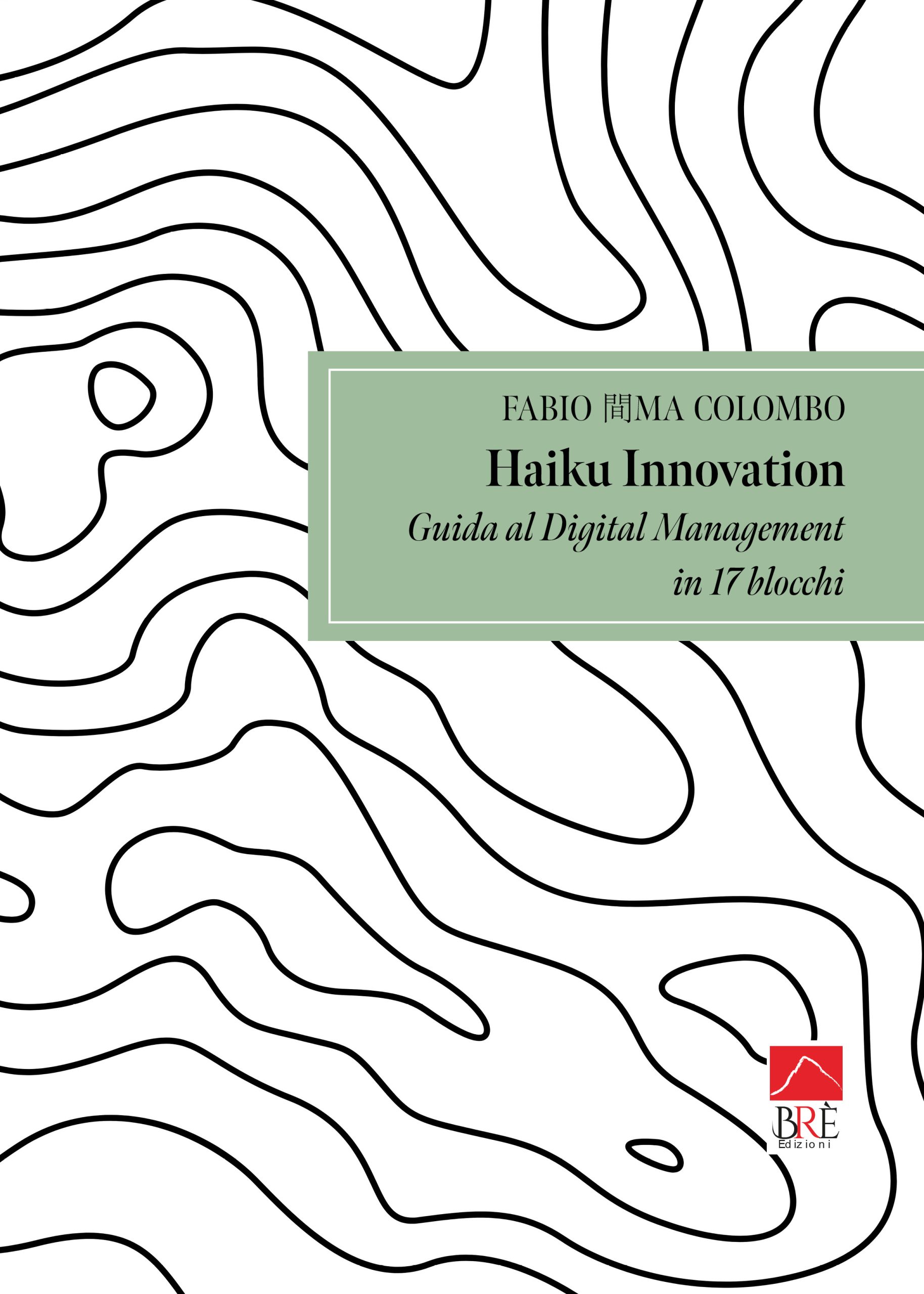Haiku Innovation – Guida al Digital Marketing in 17 blocchi