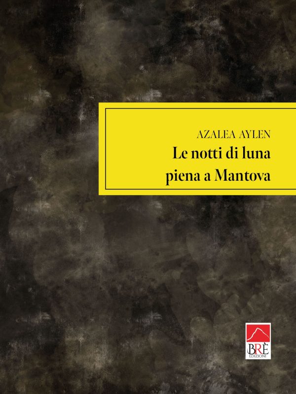Le notti di luna piena a Mantova