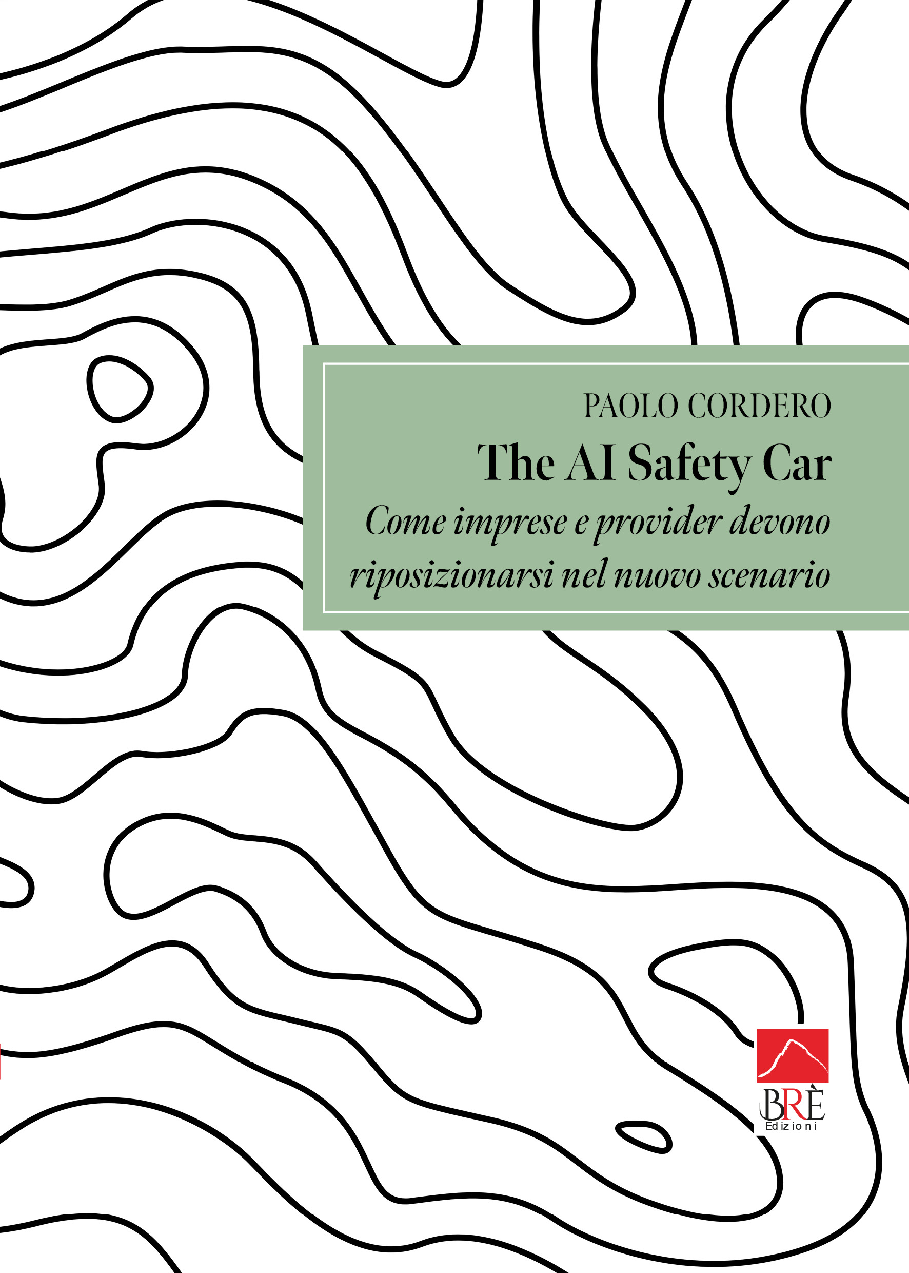 The AI safety car