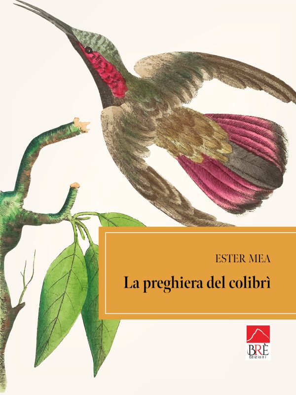 La preghiera del Colibrì