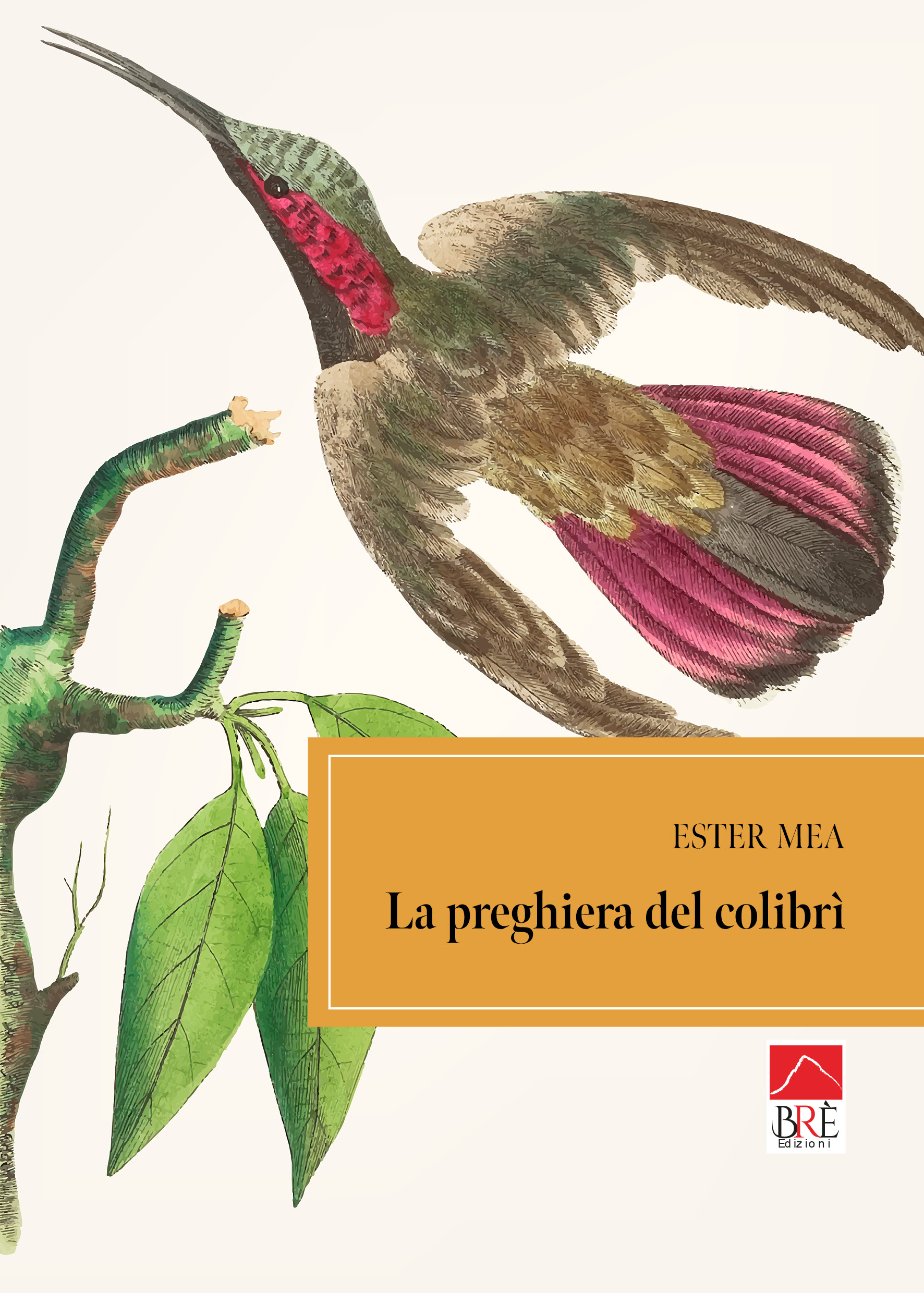La preghiera del Colibrì